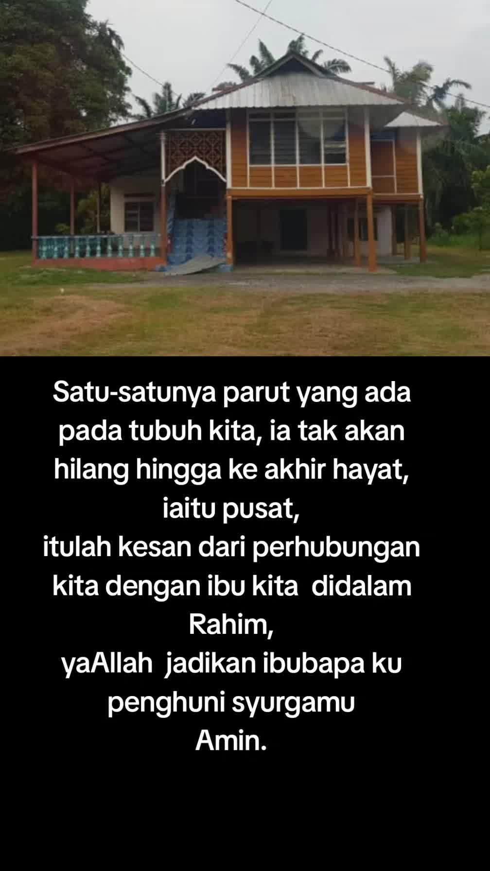 @ztaipan