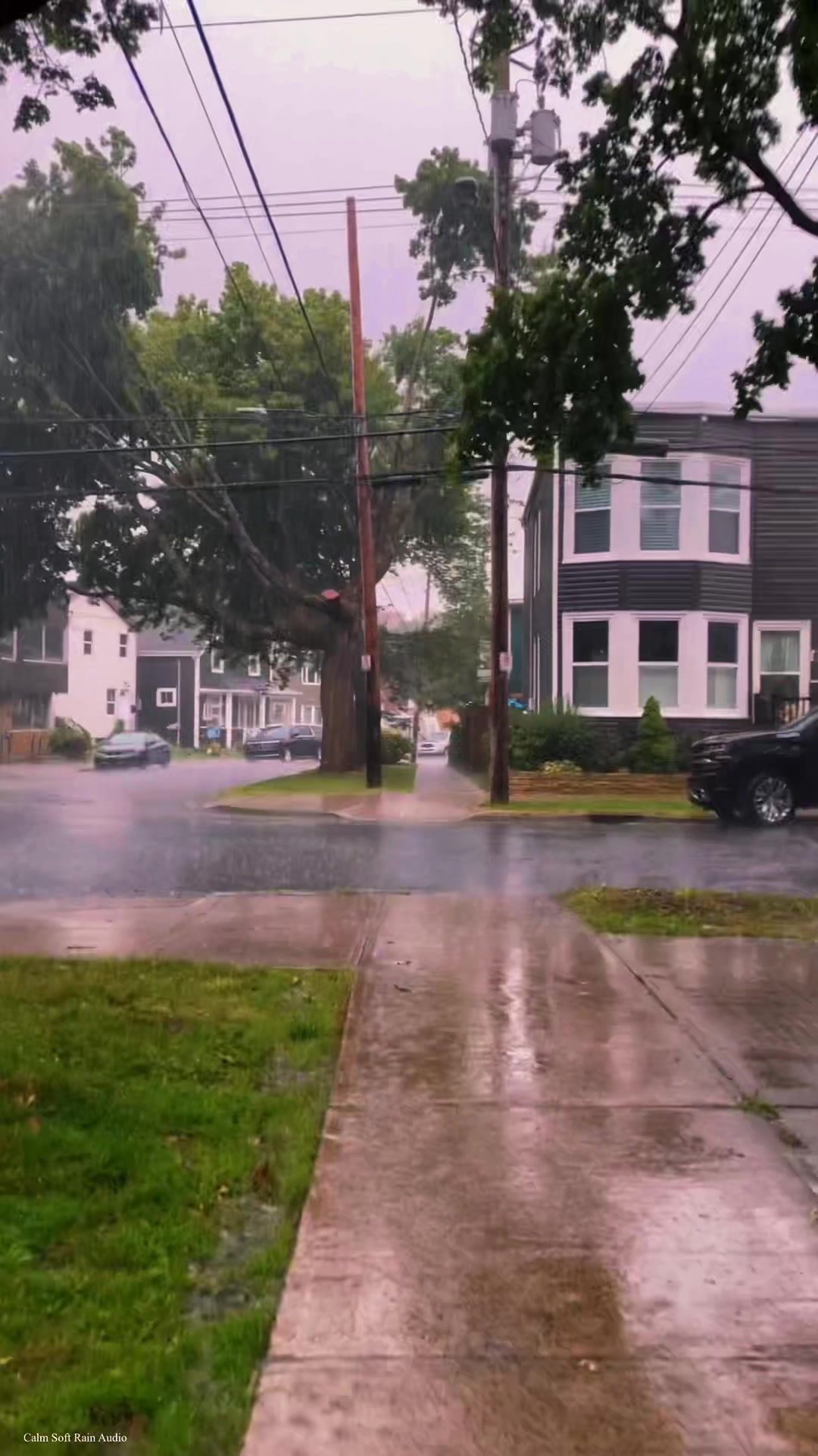 @Calm Soft Rain Audio