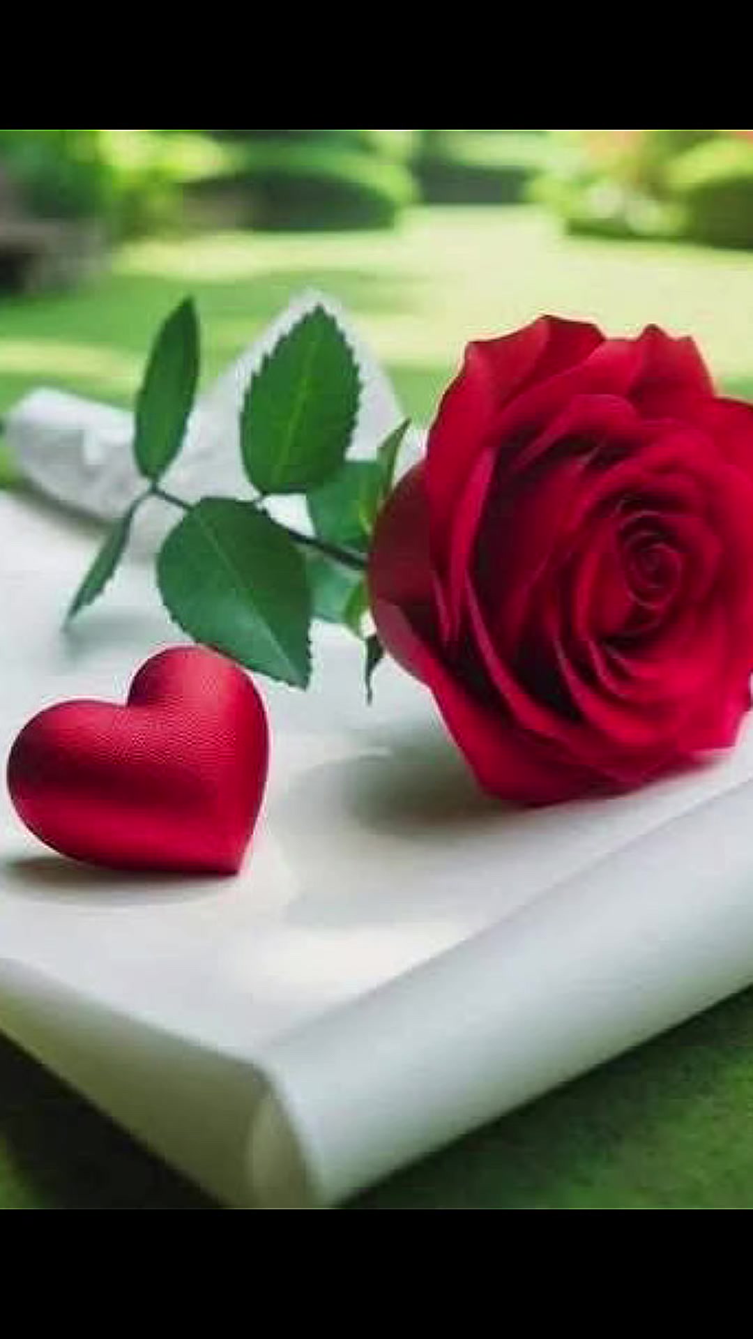 @ا قلب المجروح