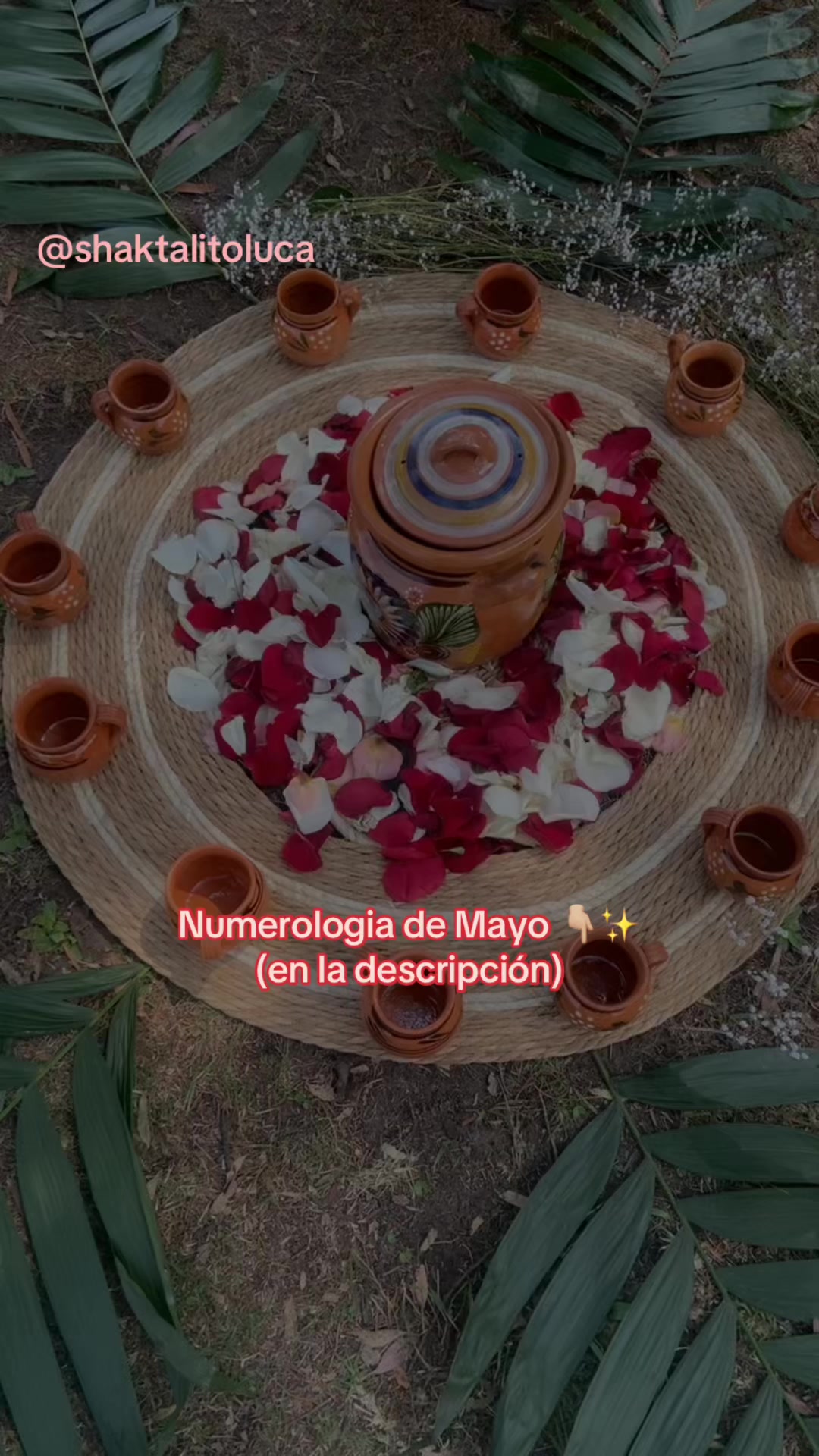 @Shaktali Energia del Corazón💕