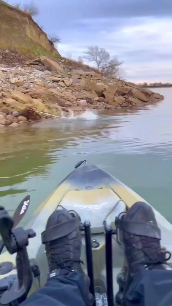 @FishaholicsCanada