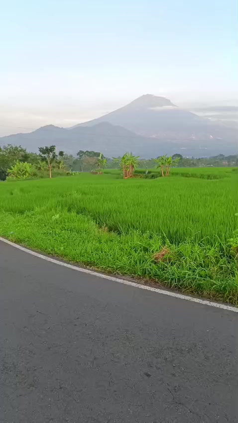@Wisata Sekitar Candi Borobudur