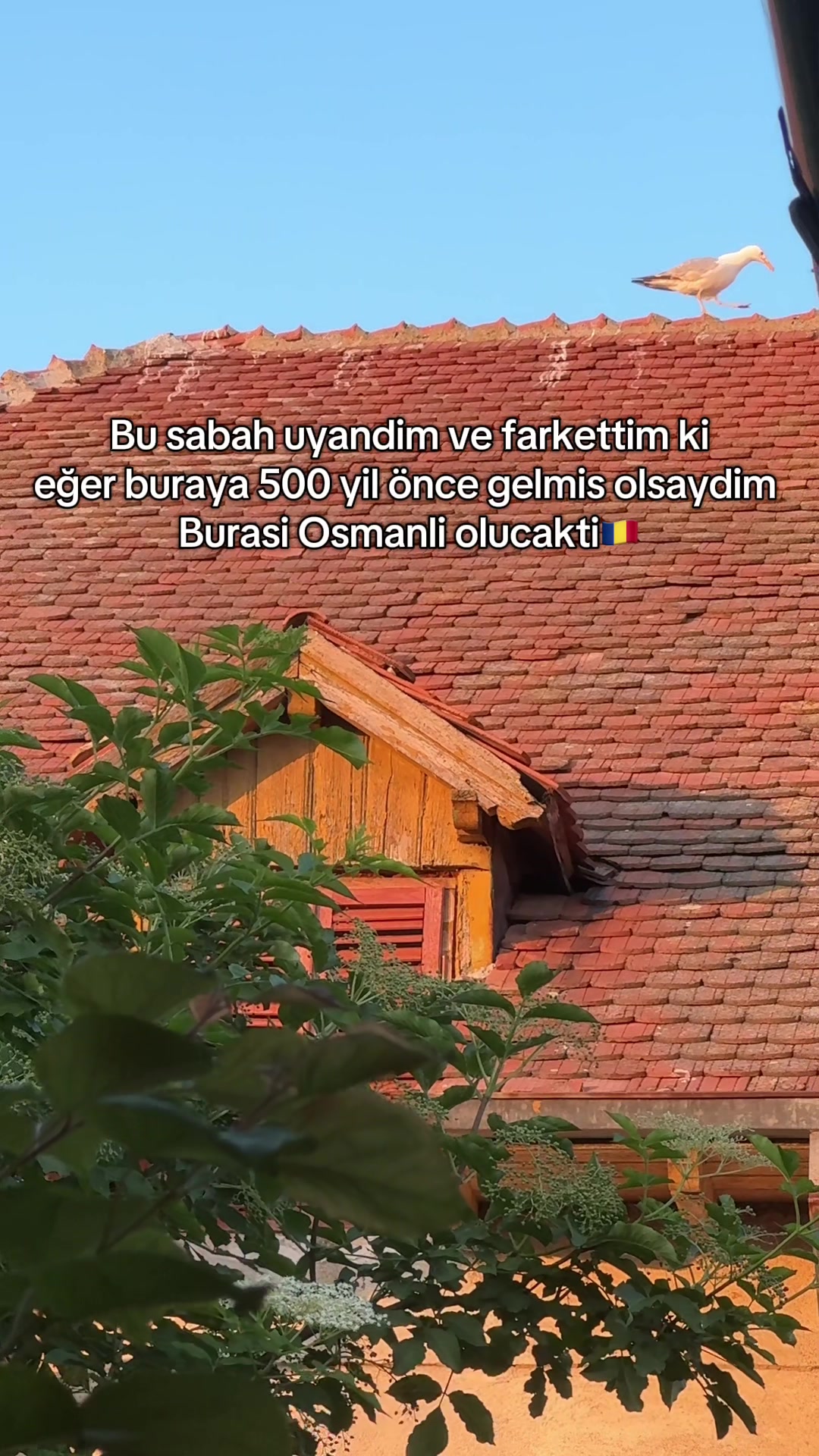 @Suedagocer