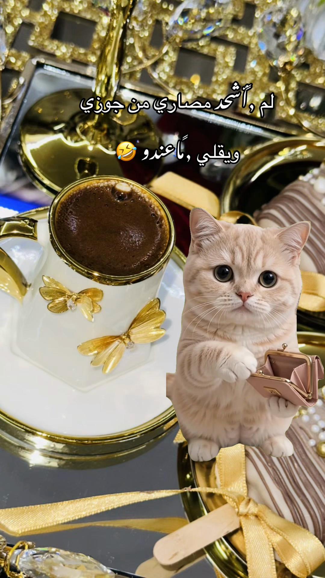 @🕊️𝓇𝒶𝓂𝓈𝒽🦋𝒶𝓁𝑒𝒶𝓎🕊️