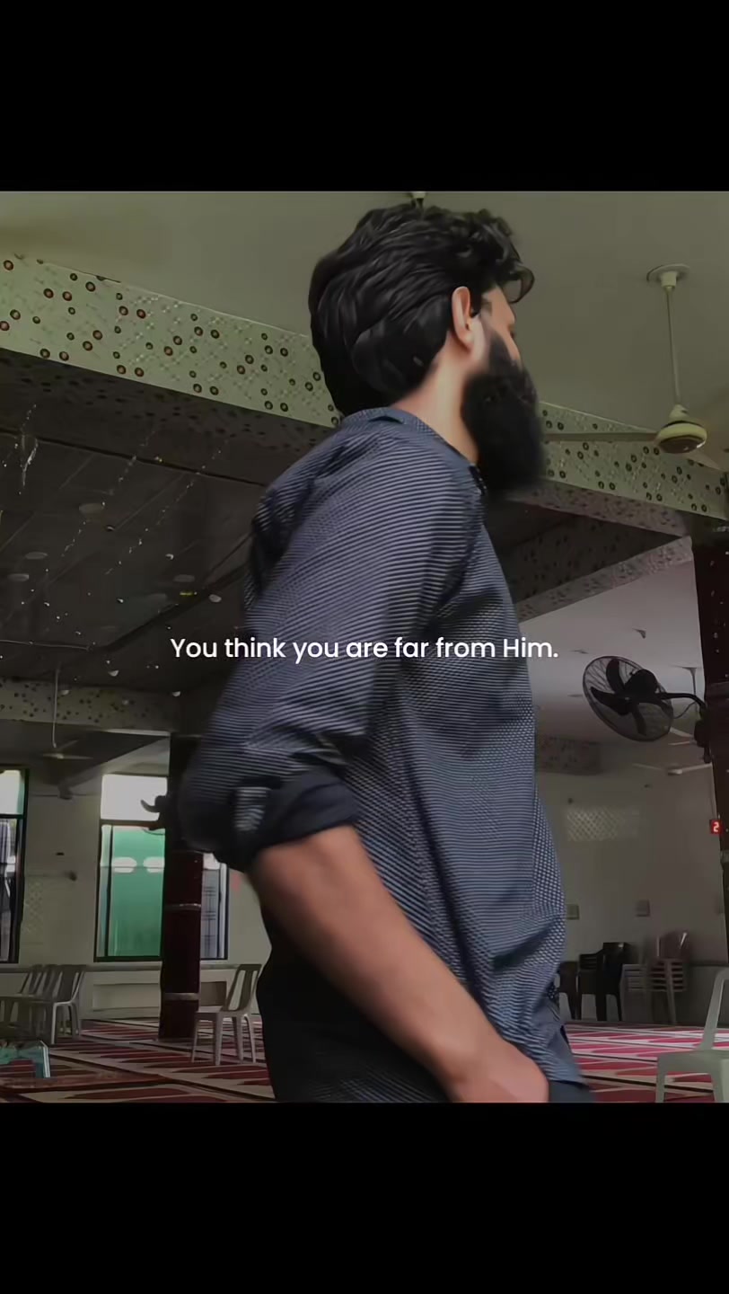 @Halal Mohsin