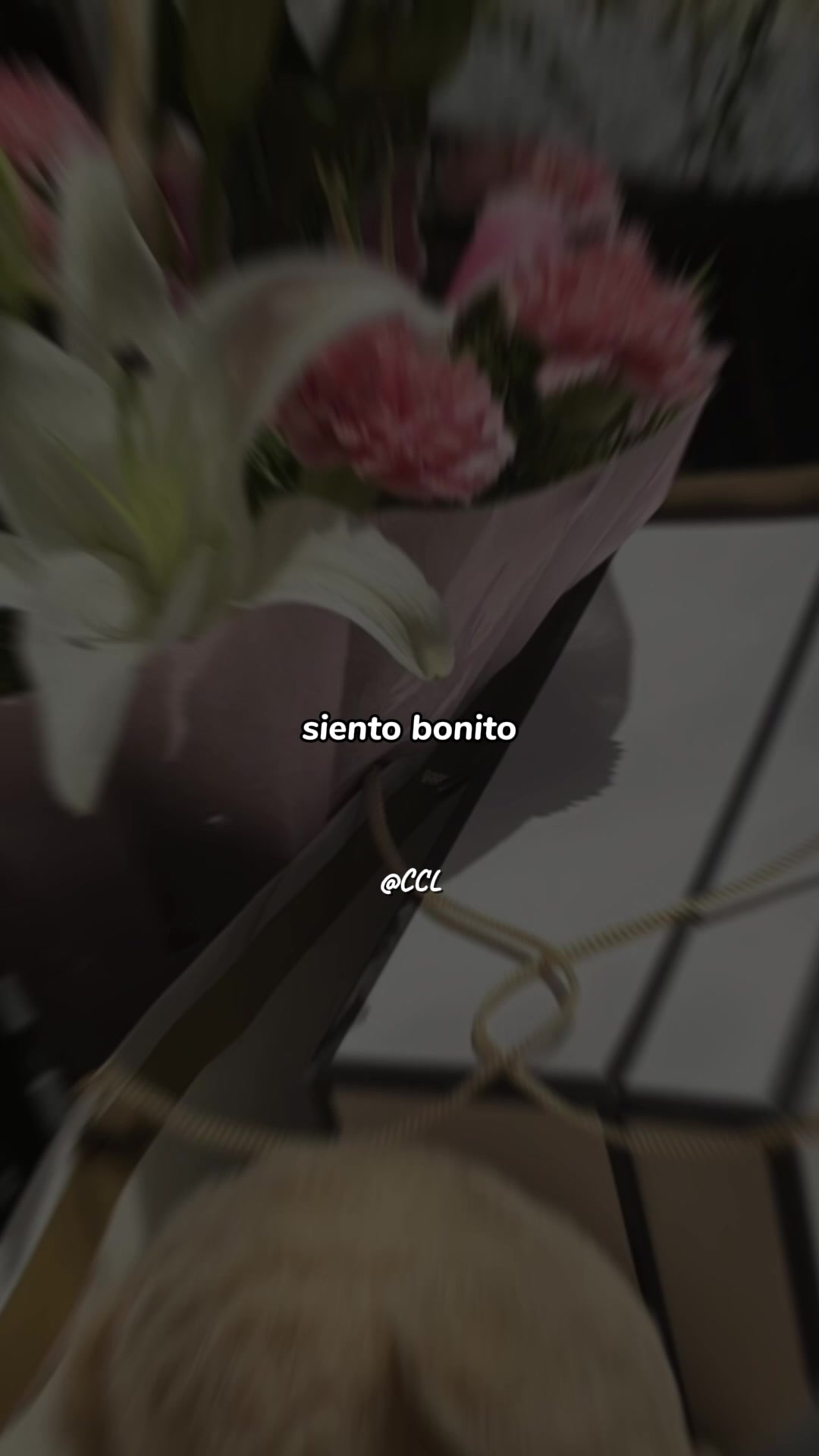 @LoudNotes
