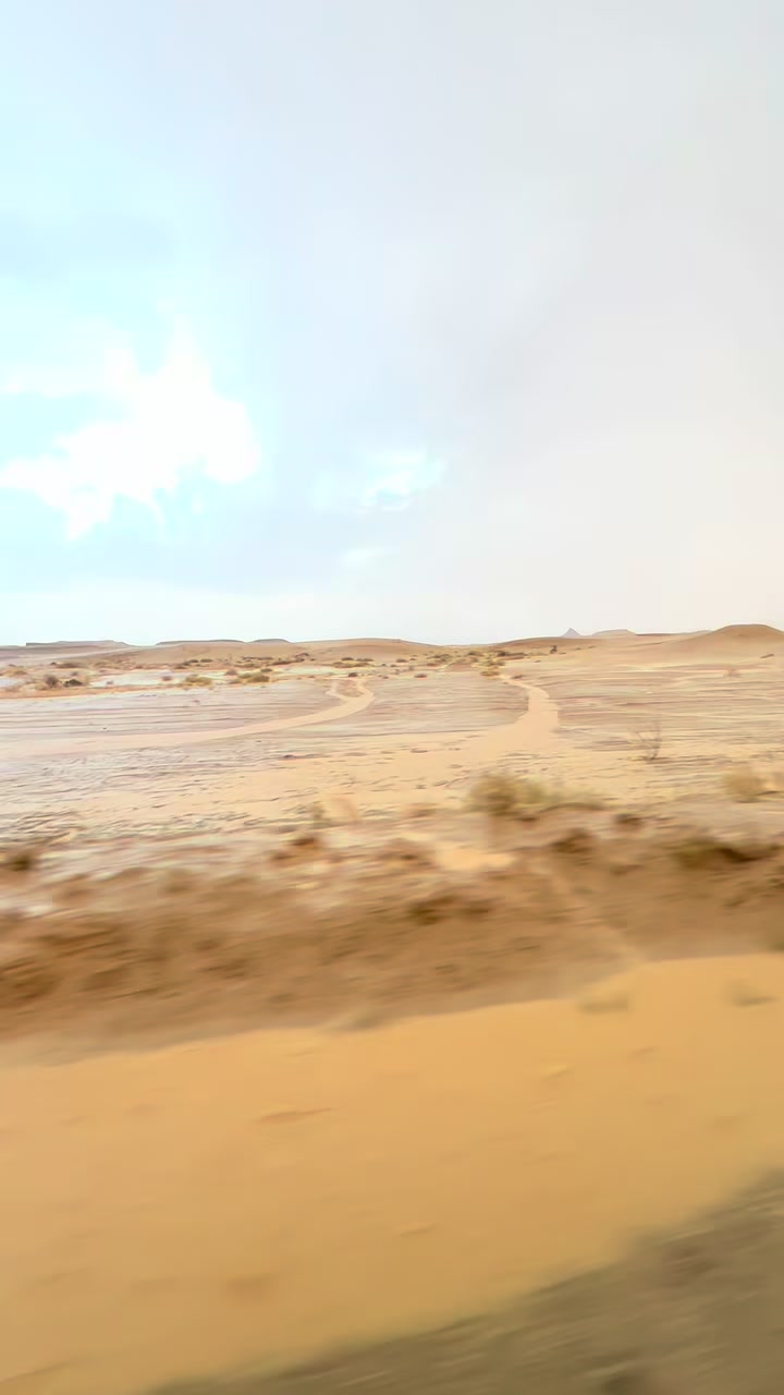 @جمالي طارق