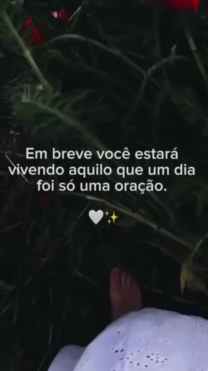 @Dandara.Simoes