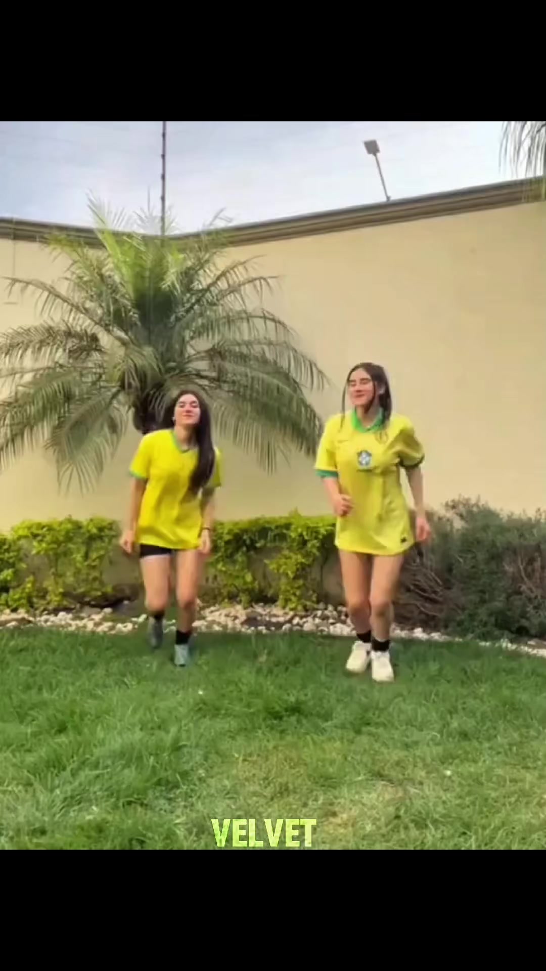 @𝑻 | ᵐᵃˢᵗᵉʳvelo