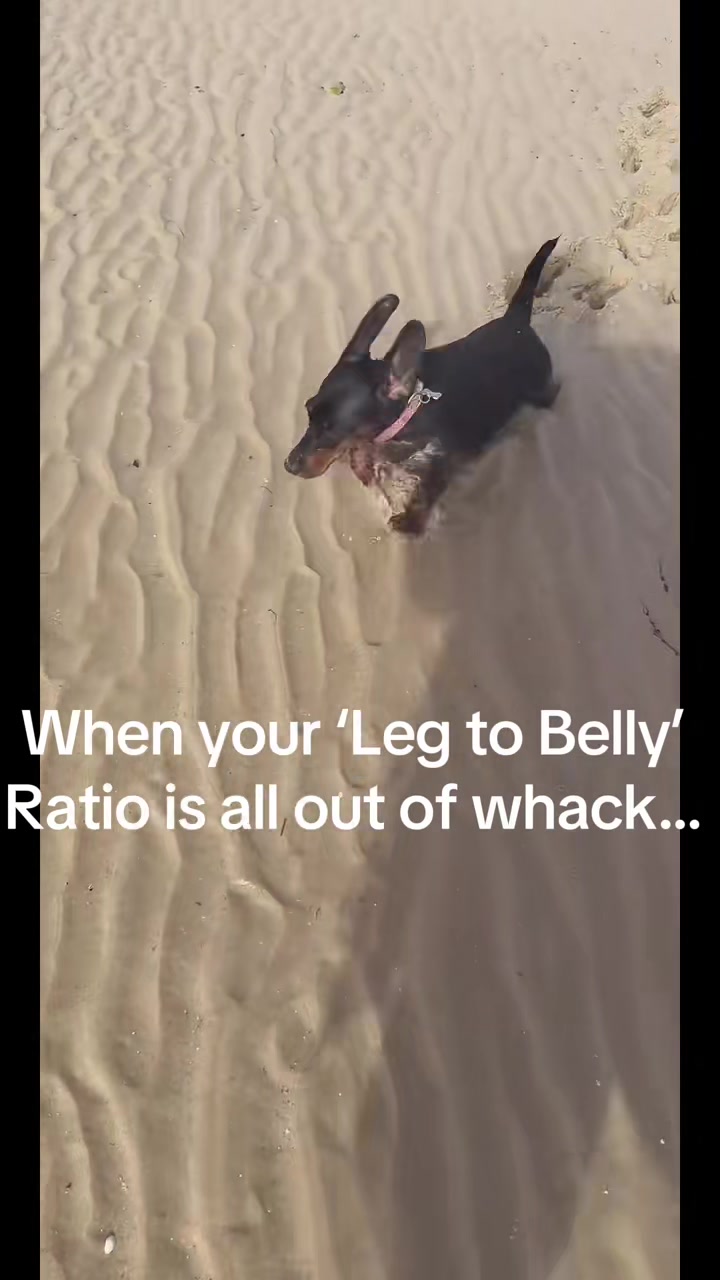 @Roxy’s Fishing Channel