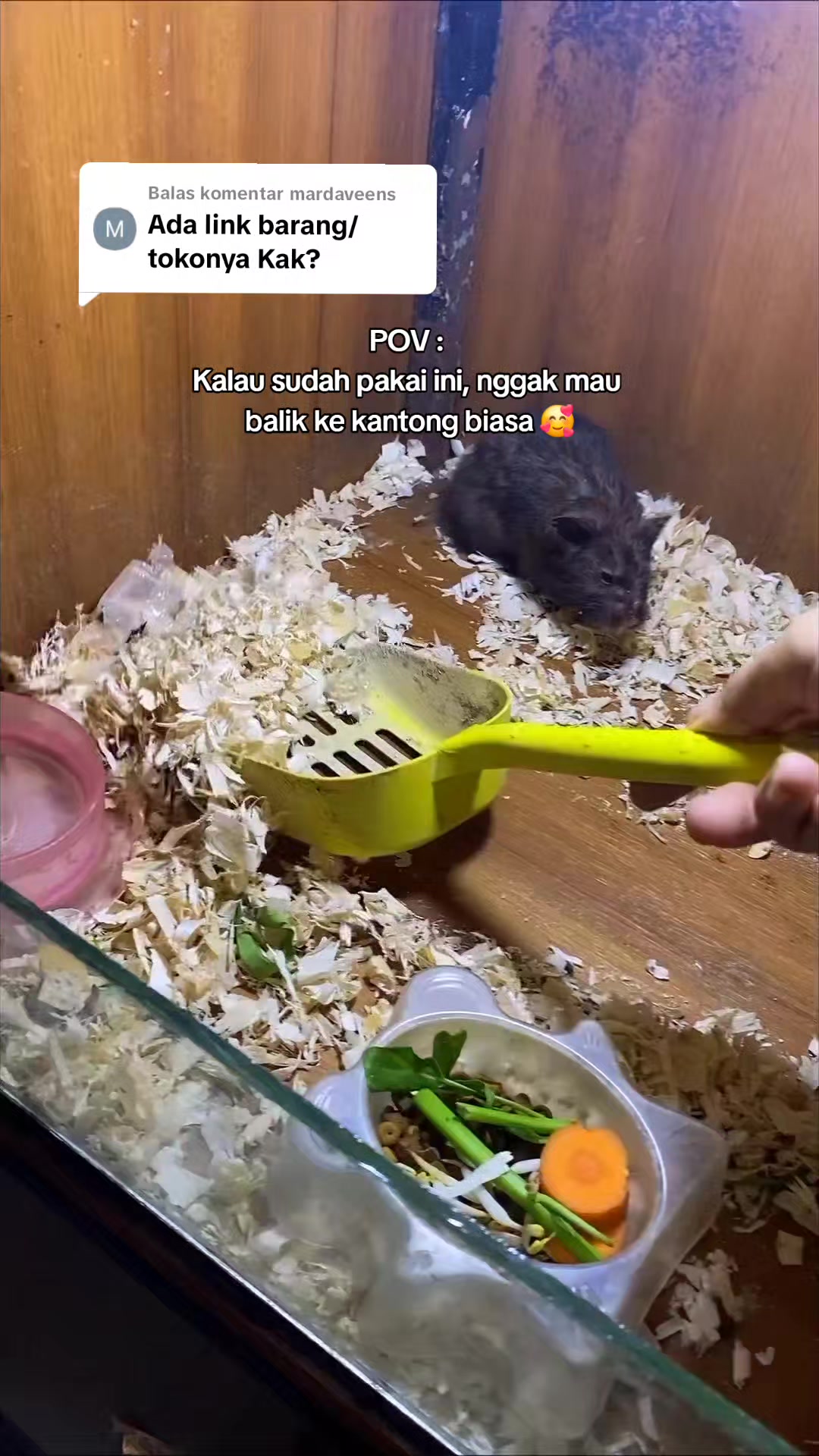 @TamaGo Pet