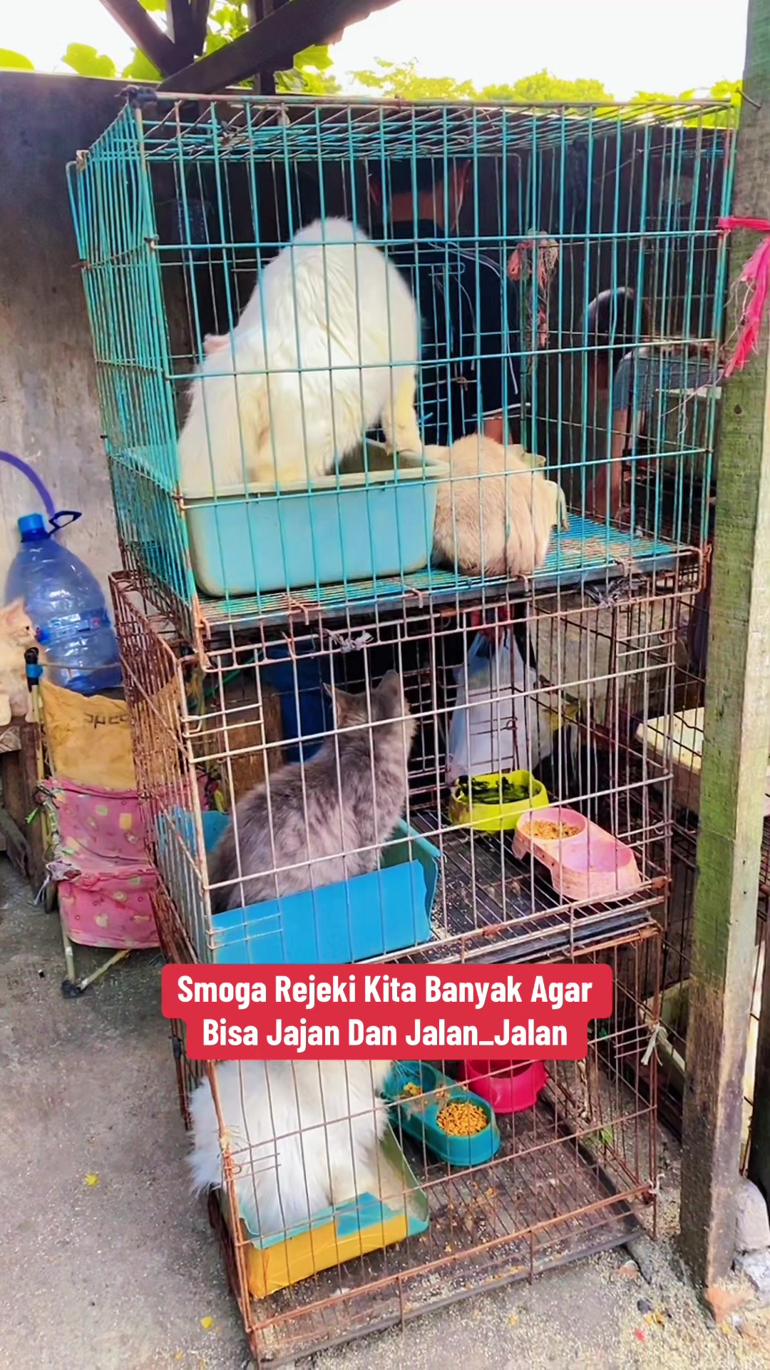 @Eka_Embem2