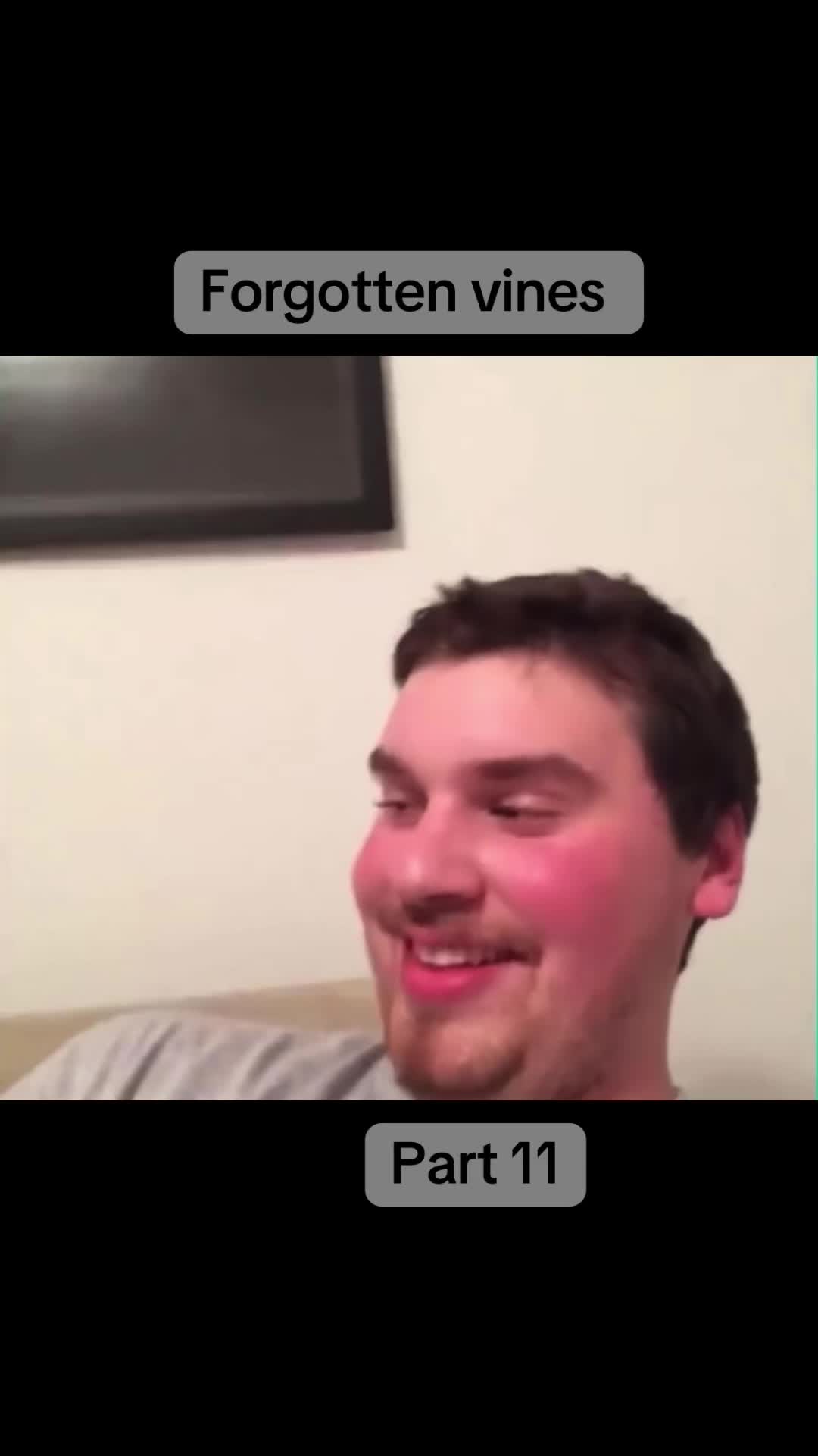 @vinesonlytiktok