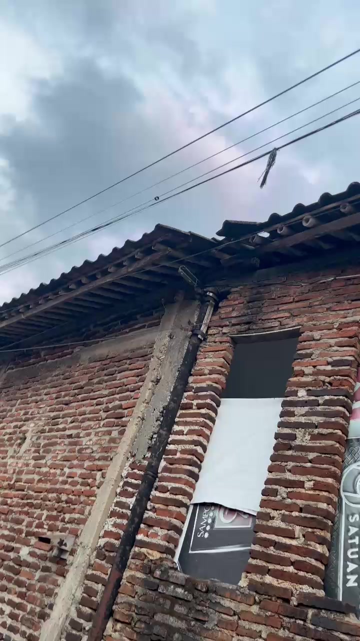 @Vega.unyill
