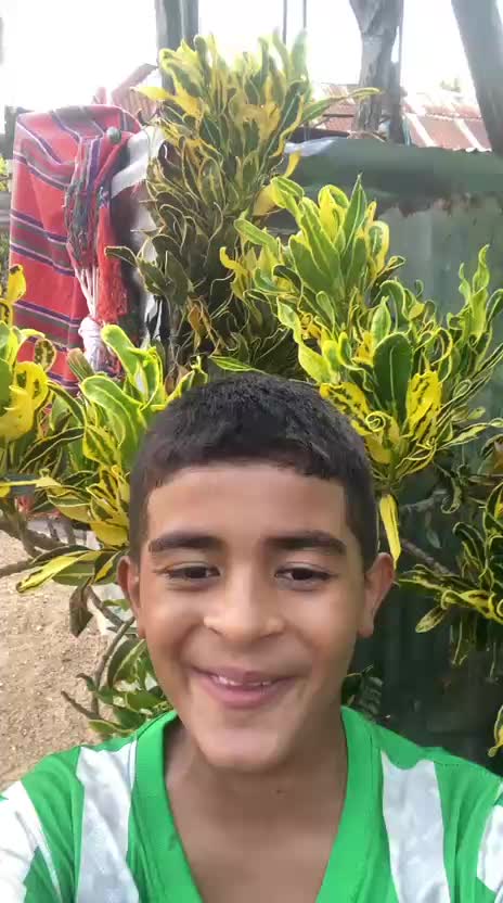 @DAVIOSI