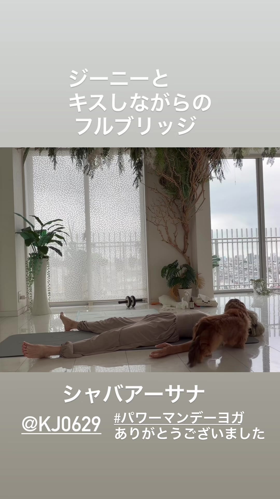 @pon _sachie