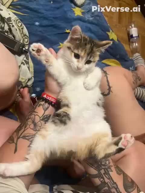 @𝓐𝓷𝓰𝓮𝓵