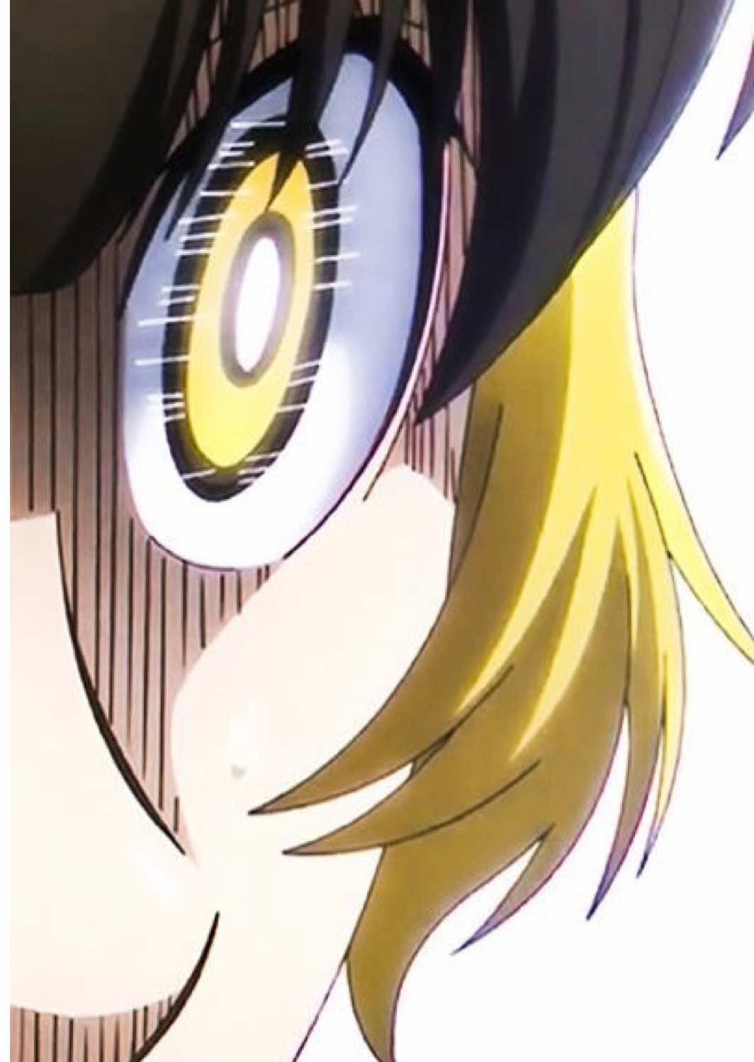 @⋮ ⌗ ┆ saku 🦉🧩