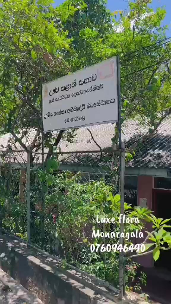 @bimali_aththanayaka