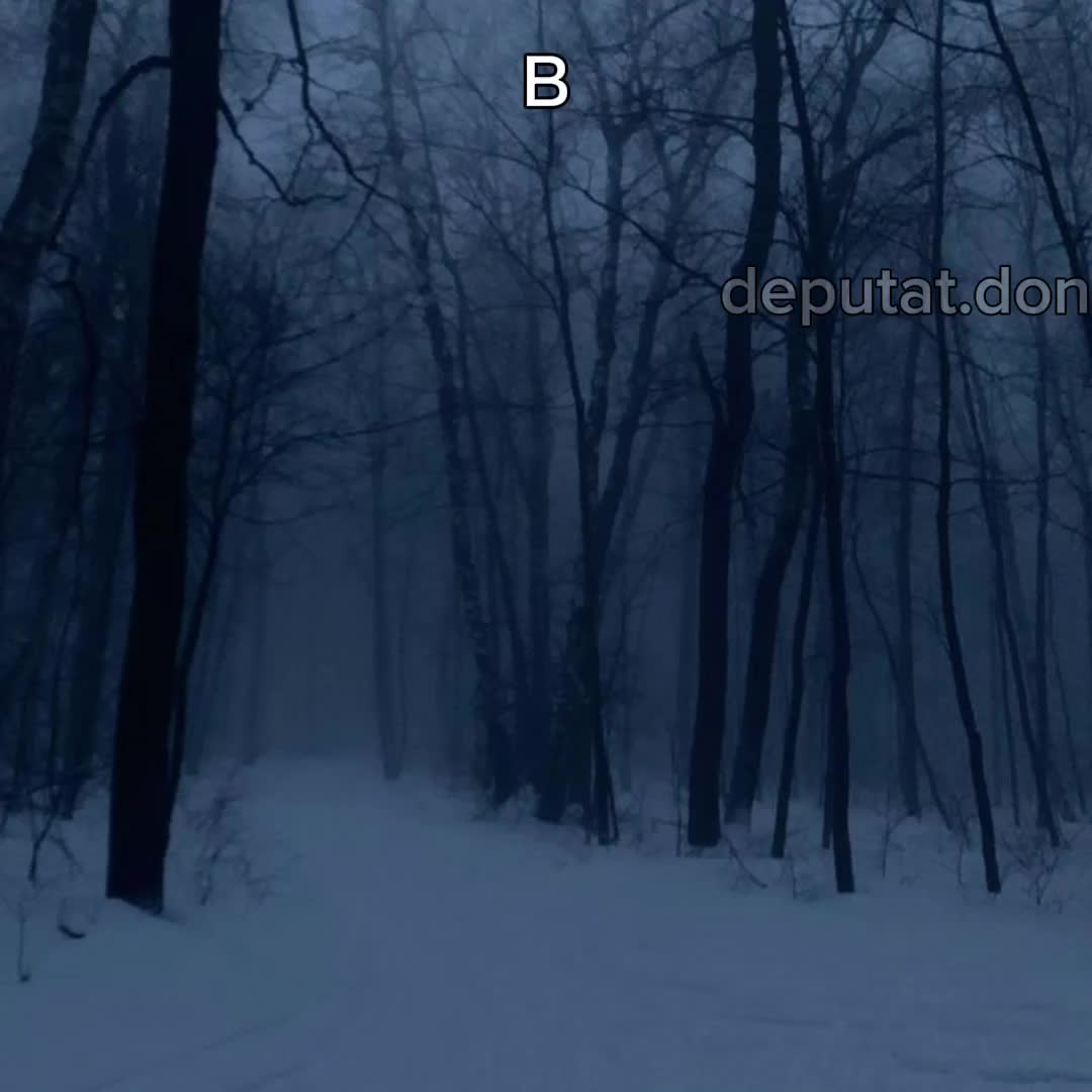 @Депутат Дон