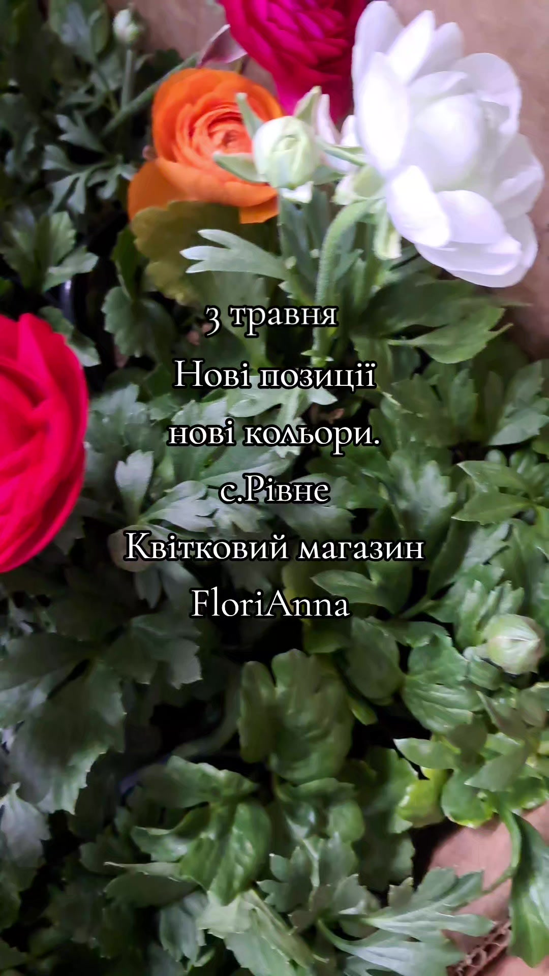 @Florianna004
