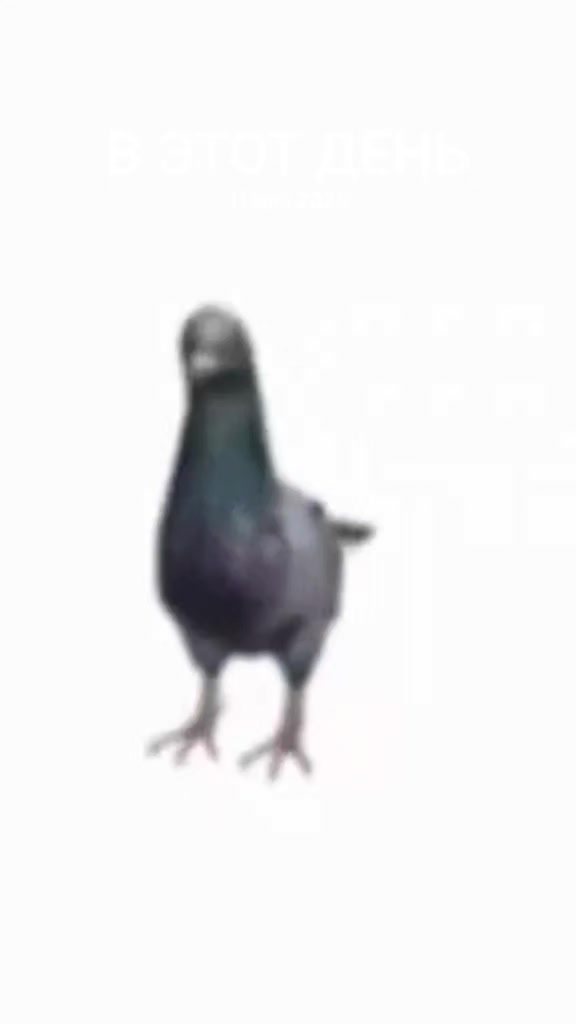 @yes,I dacwood