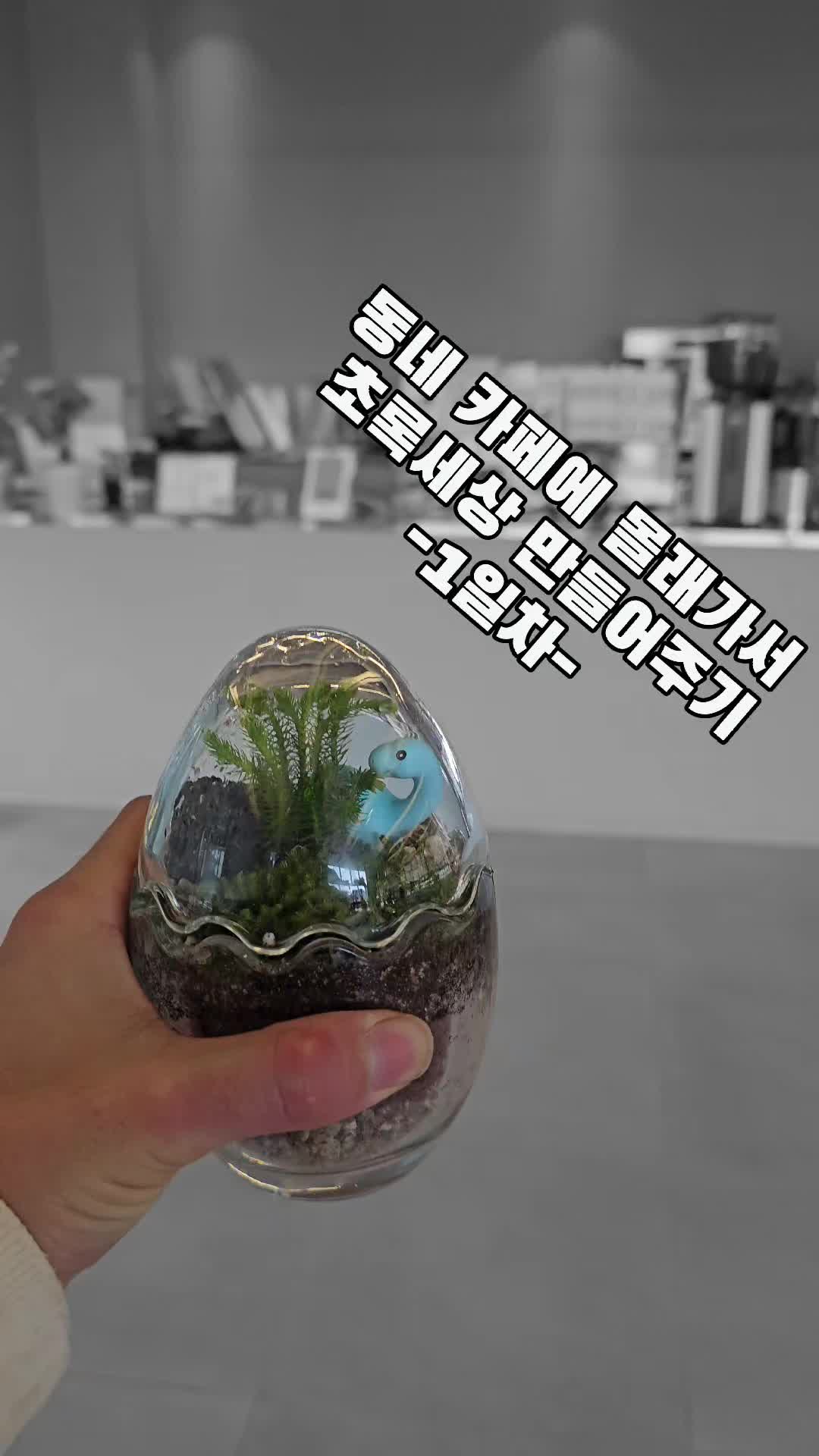 @식물의정석 가든센터
