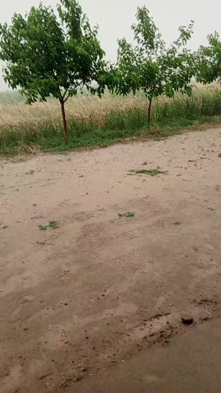 @telav