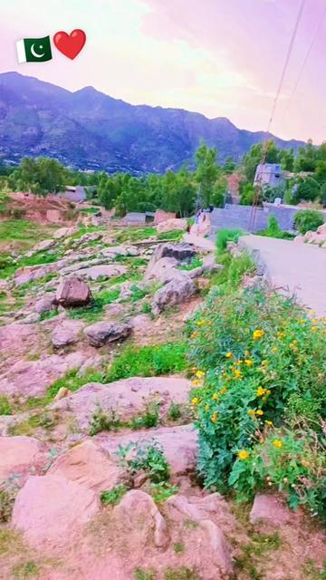 @Muhammad🥀🇵🇰🇸🇦🦅❤️♥️📳📲🥰