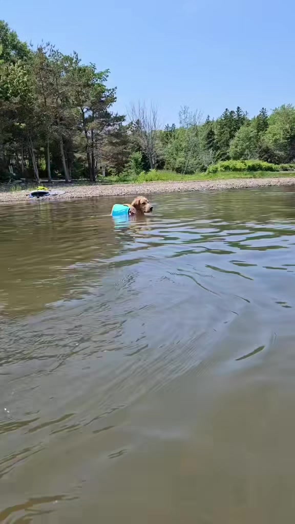 @🐶Griffin
