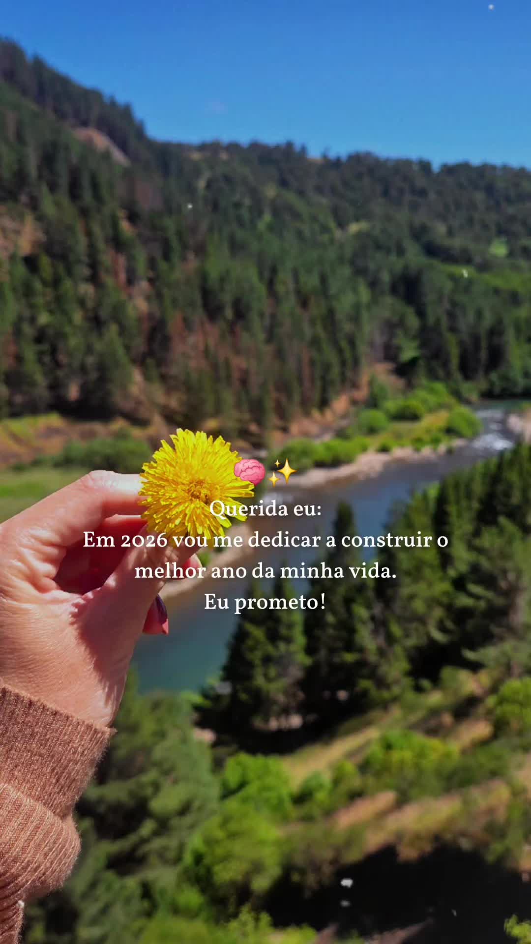 @Carlla Maciel
