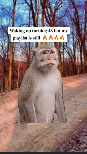 @𝙼𝚘𝚖𝚖𝚊.𝚂𝚠𝚊𝚐🪷