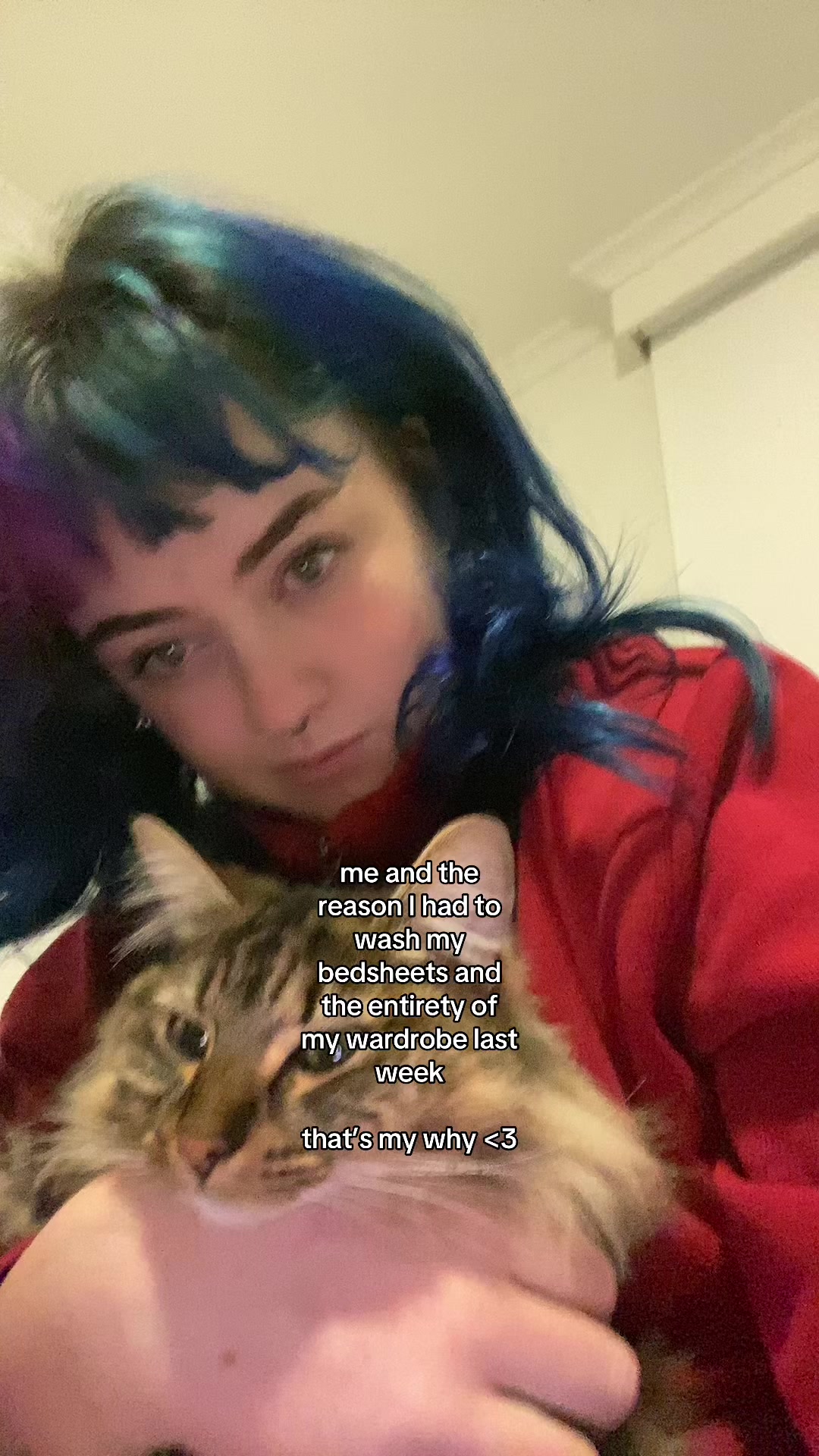 @kashy