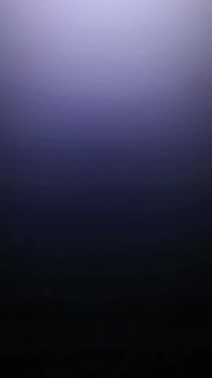 @𝔀𝓸𝓪𝓲𝓷𝓲 𓃹
