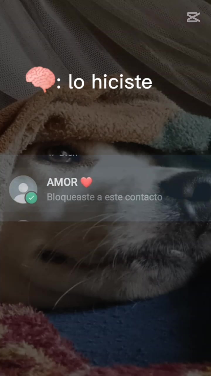 @Edu D. Lucas