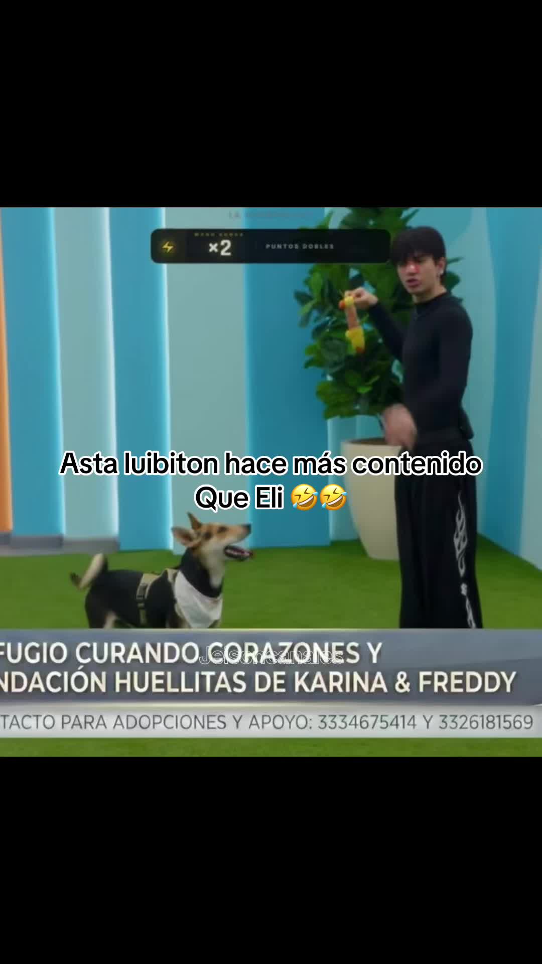 @Jeison Canales🐧🦜🐯🐢