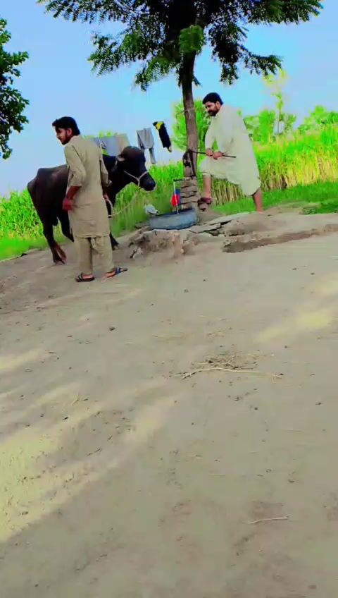 @Sardar Sudia wala
