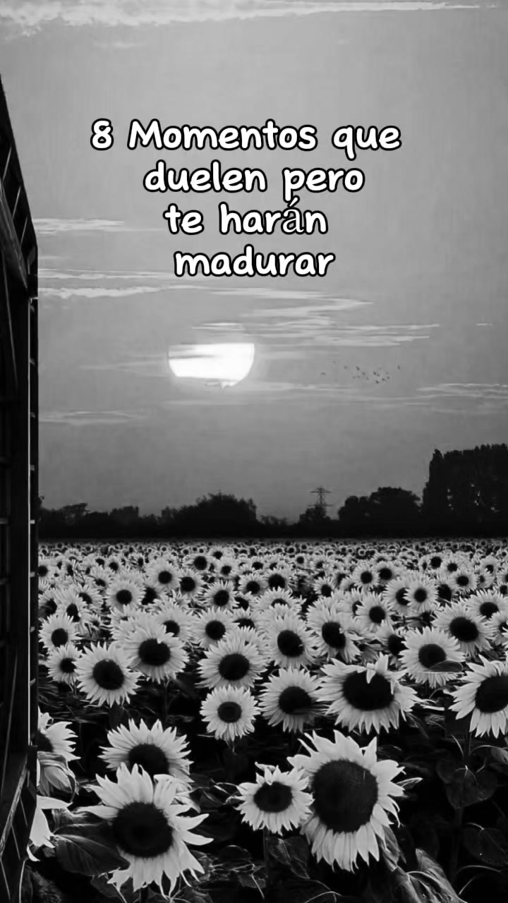 @gatita 😻