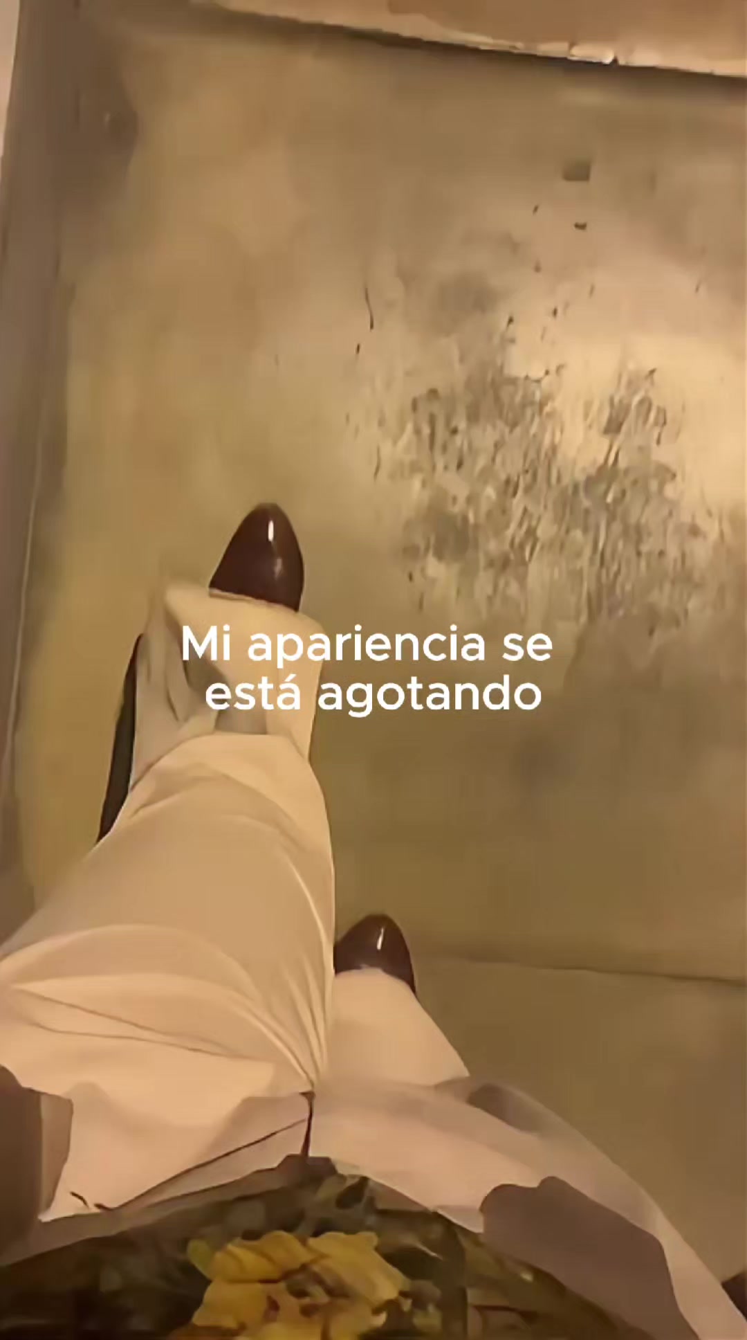 @Tamauta