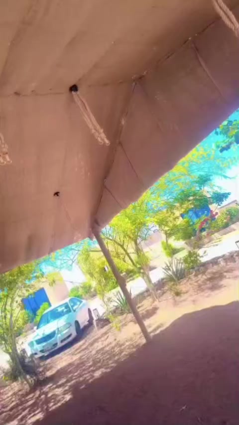 @توقیر نمبردار ۔🇸🇦