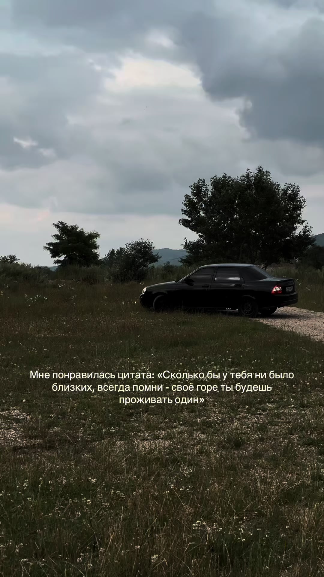 @Seeos