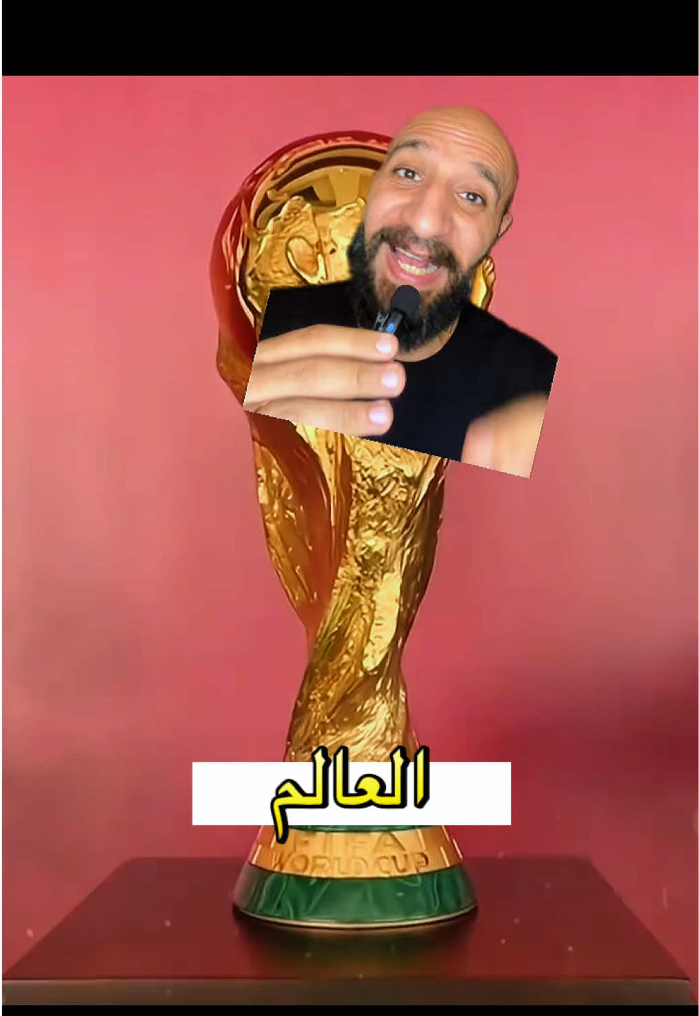 @Mina Hakim