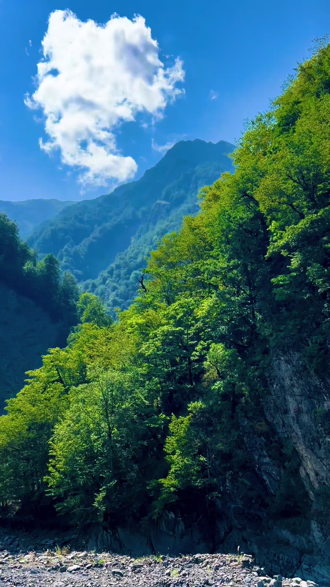 @𝑨𝒅𝒊𝒍𝒐𝒗🌿