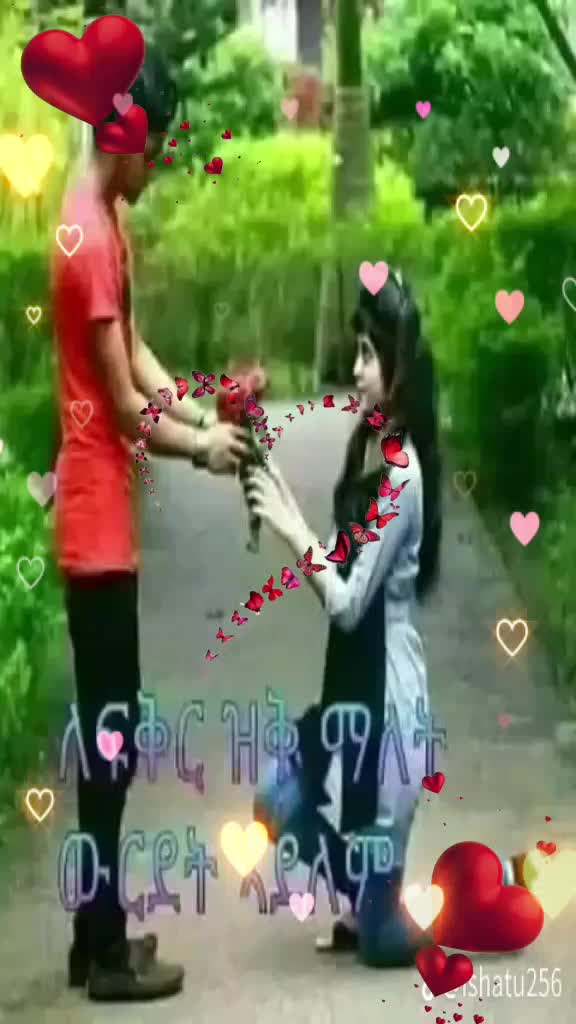 @Zinash Koraa