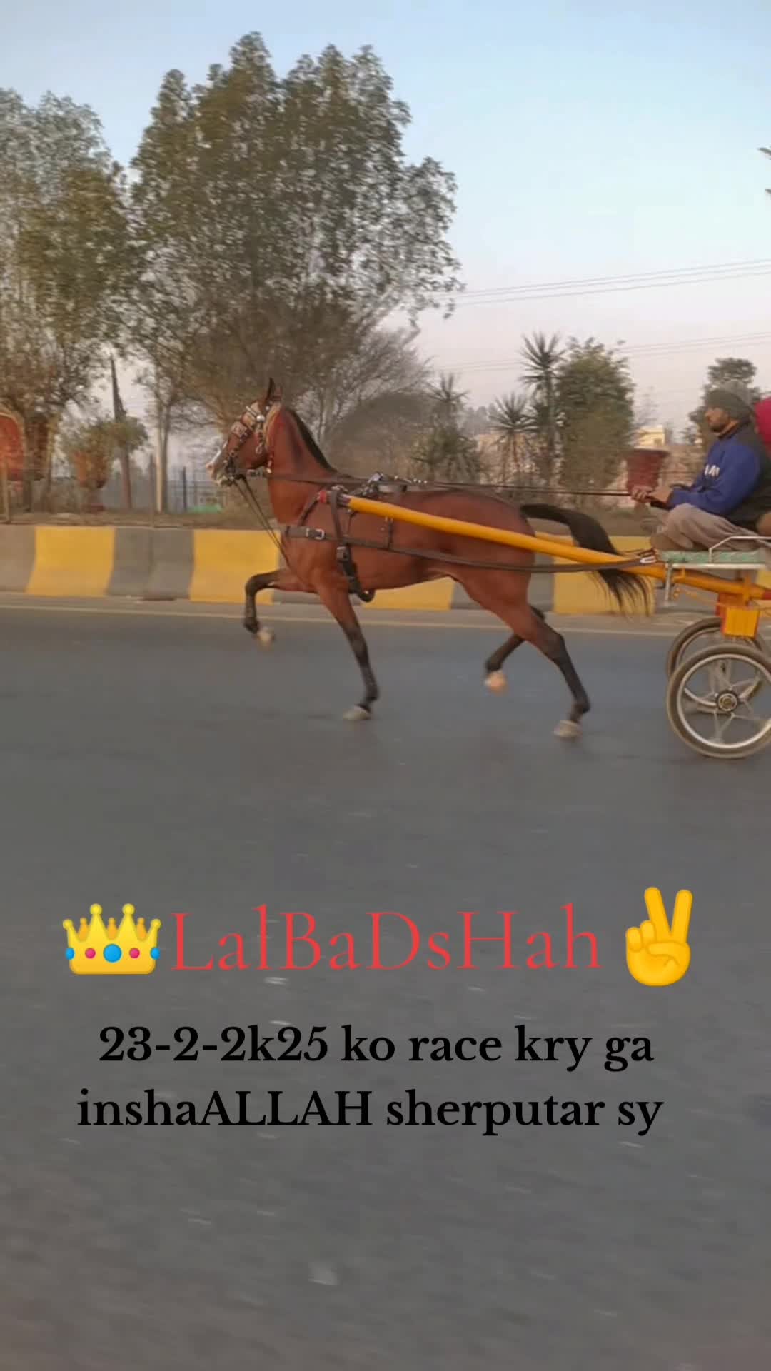 @Badshah-Gujjar