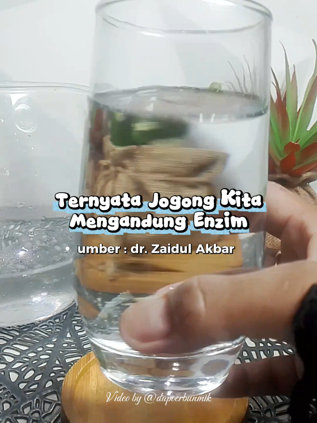 @dapoerbunmik