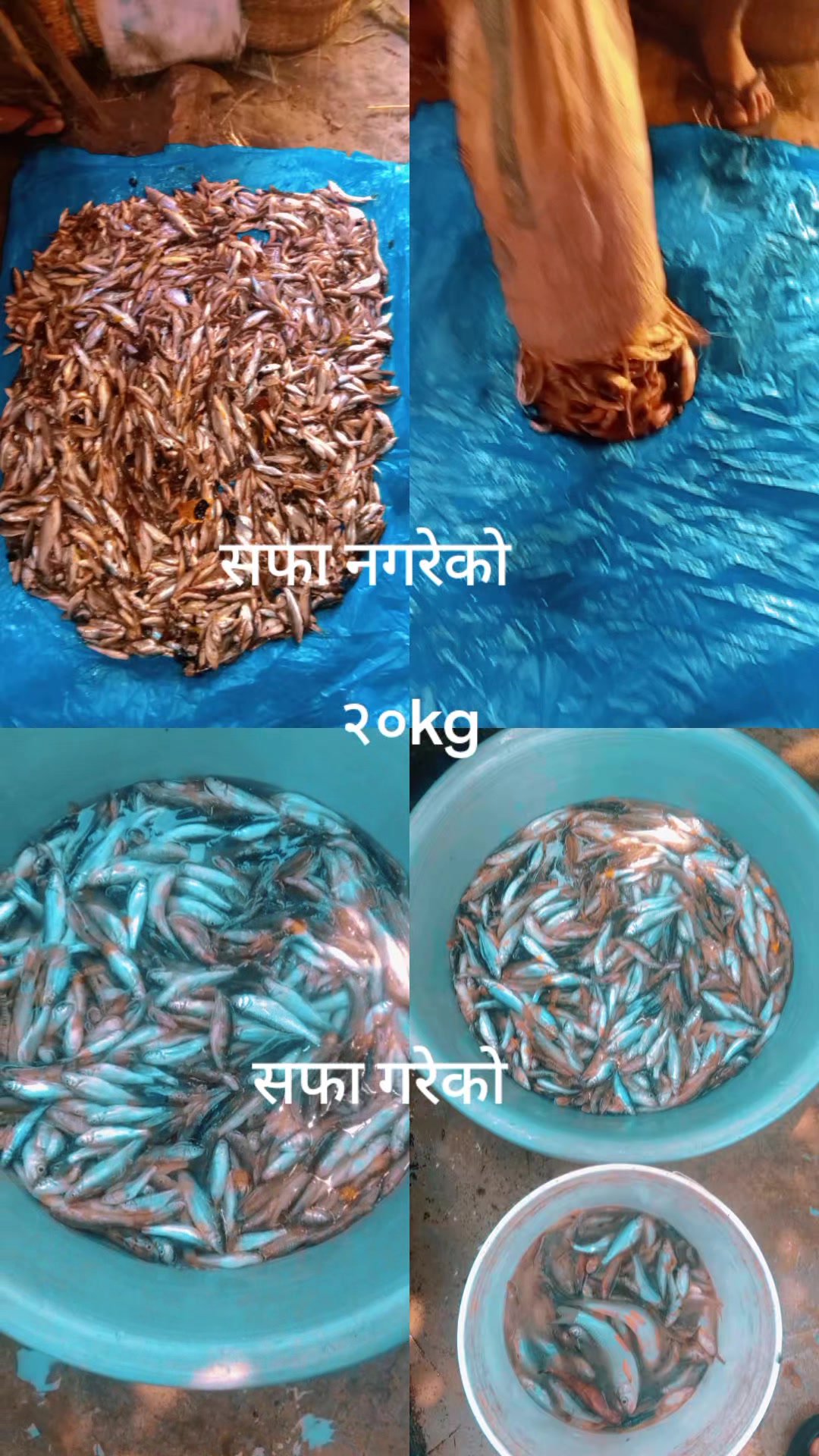 @sakul.kc
