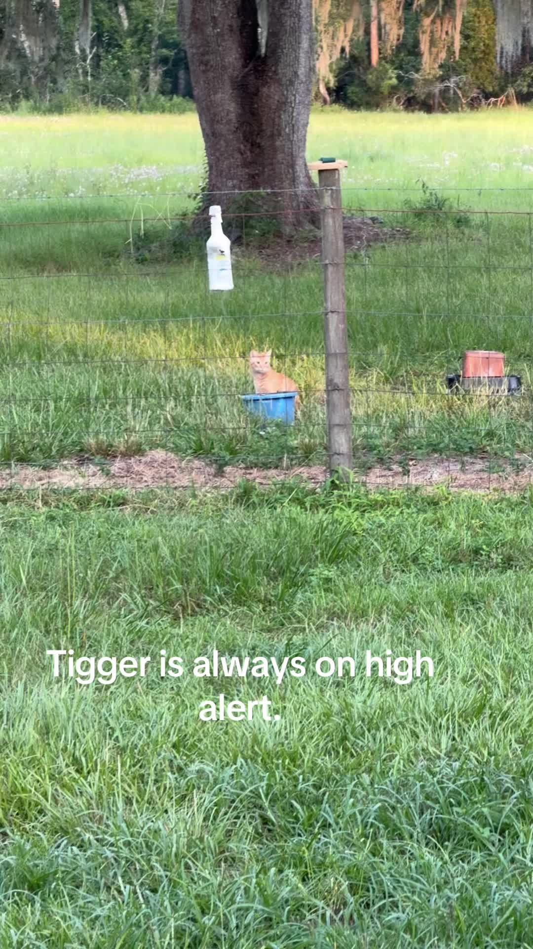 @Kelley Farms