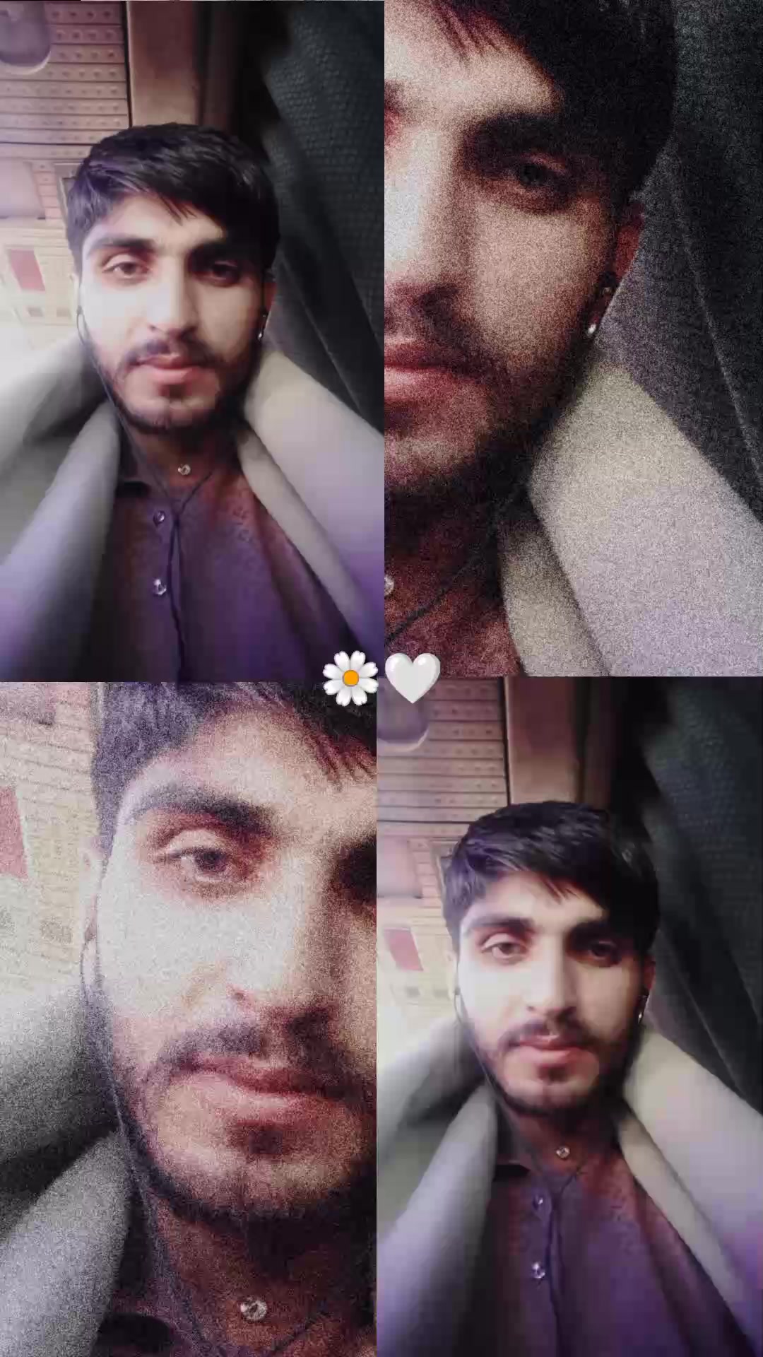@شیرنی🦁❤️