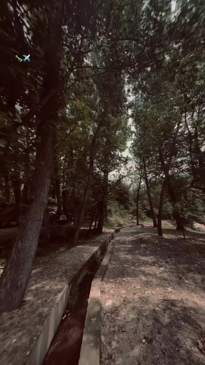@malakptm1